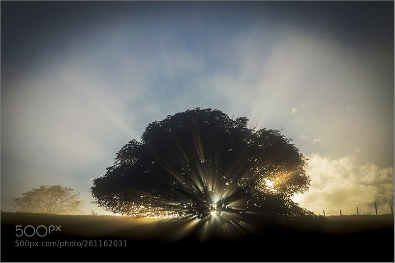 Canon EOS 6D sample photo. Amanhecer photography