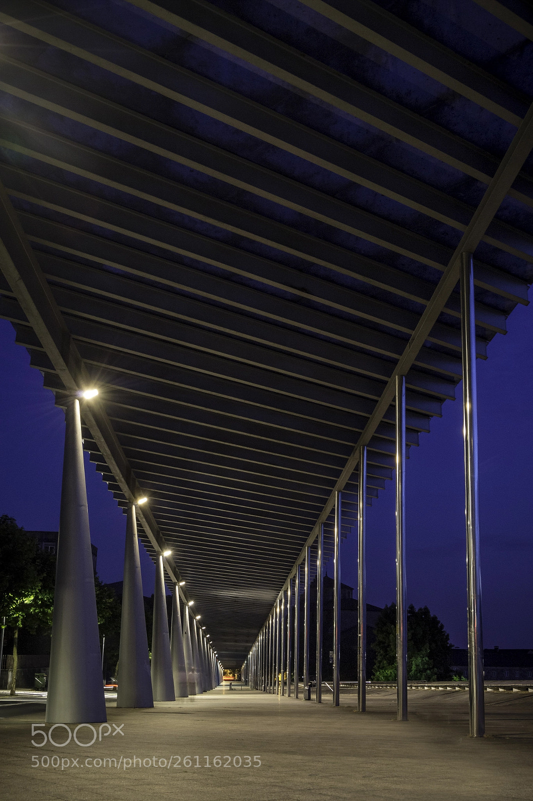 Nikon D3100 sample photo. Juan xxiii photography