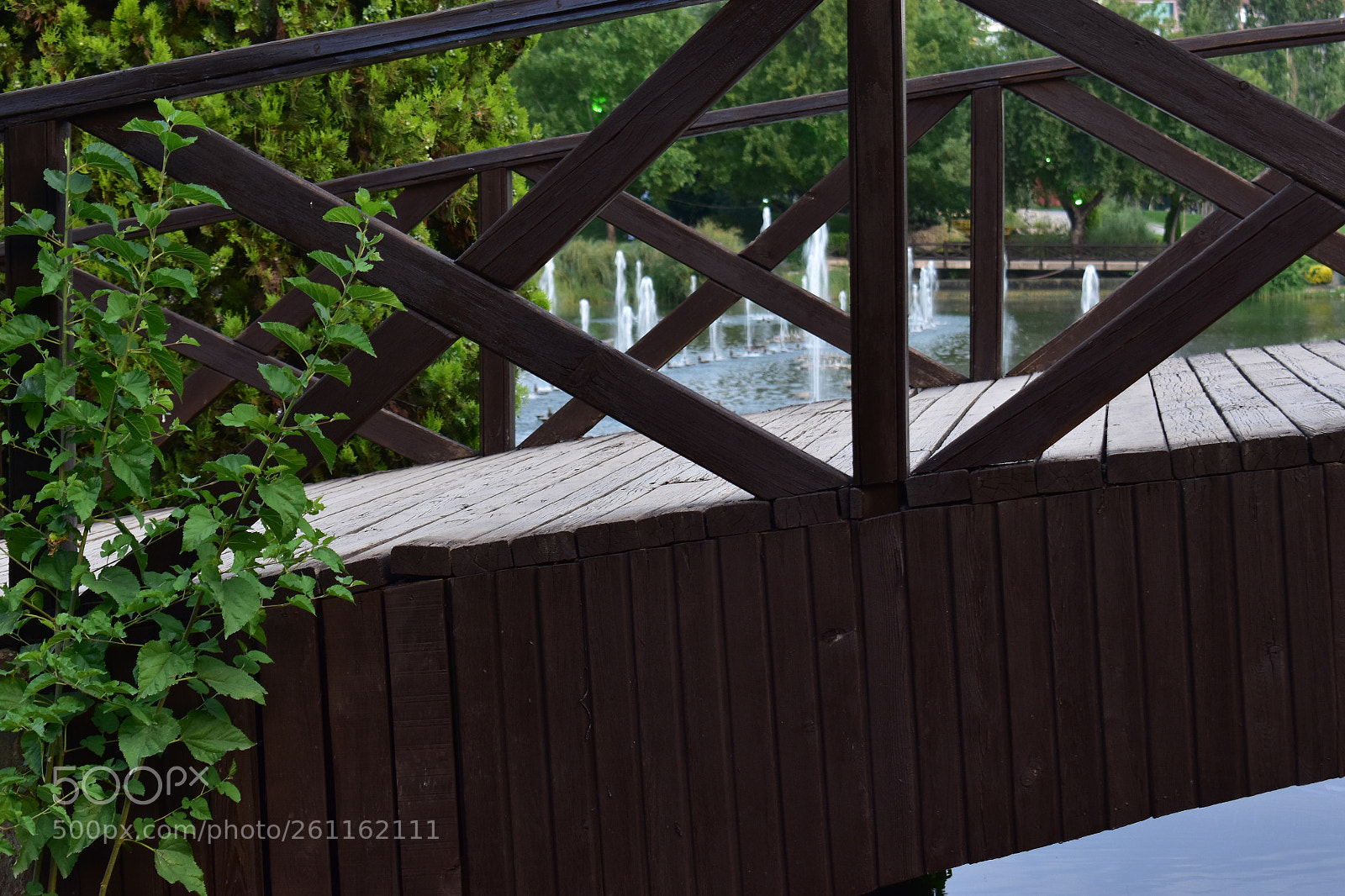 Nikon D3400 sample photo. 11 photography