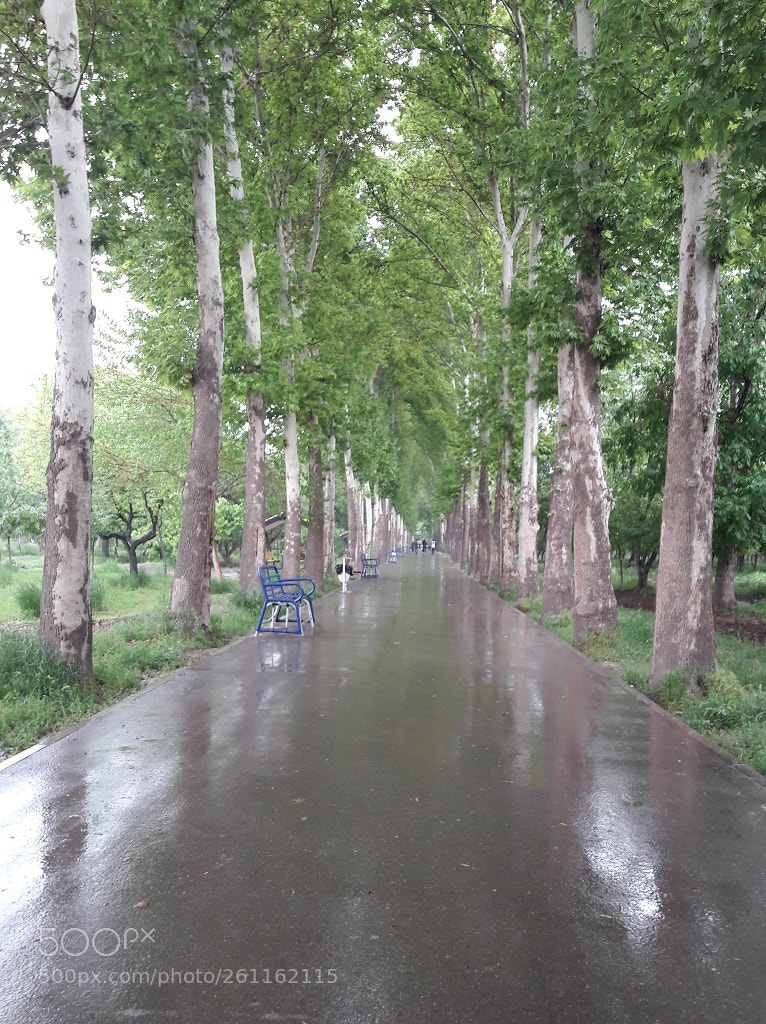 Samsung Galaxy A5(2016) sample photo. A rainy day in photography
