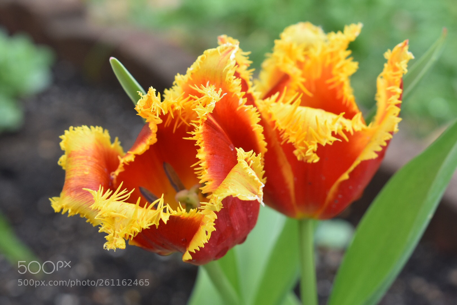Nikon D3400 sample photo. Untitled photography