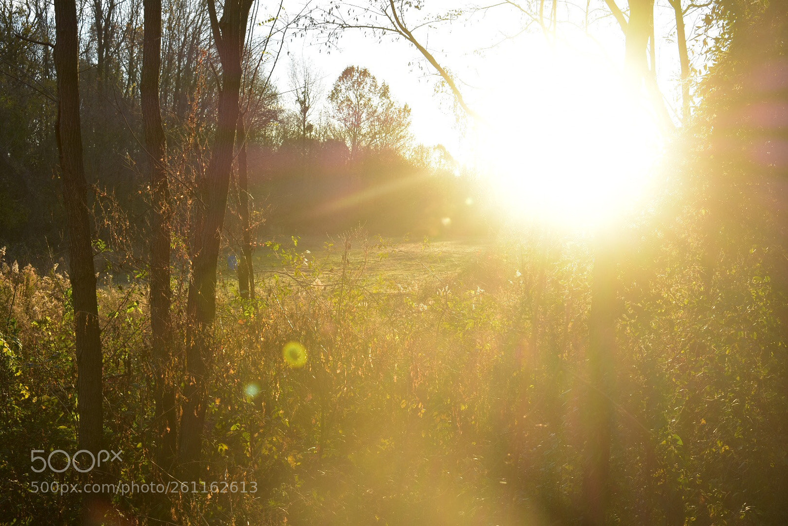 Nikon D3400 sample photo. Untitled photography