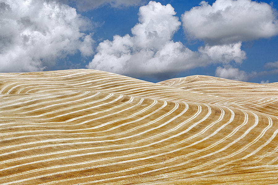 Canon EOS-1Ds Mark III sample photo. Harvested wheat field. the palouse, washington. a sky has been added. photography