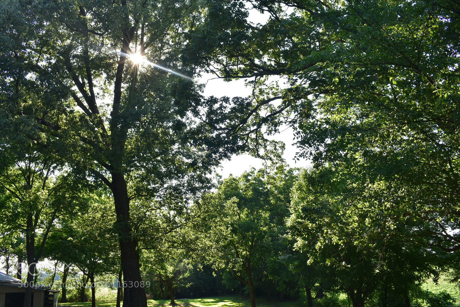 Nikon D3400 sample photo. Sky light photography