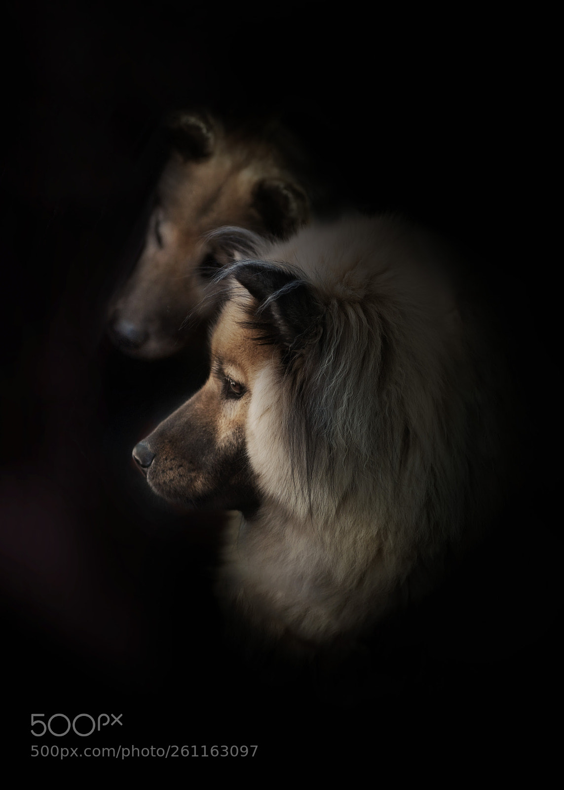 Nikon D4 sample photo. Black portrait aischa und photography