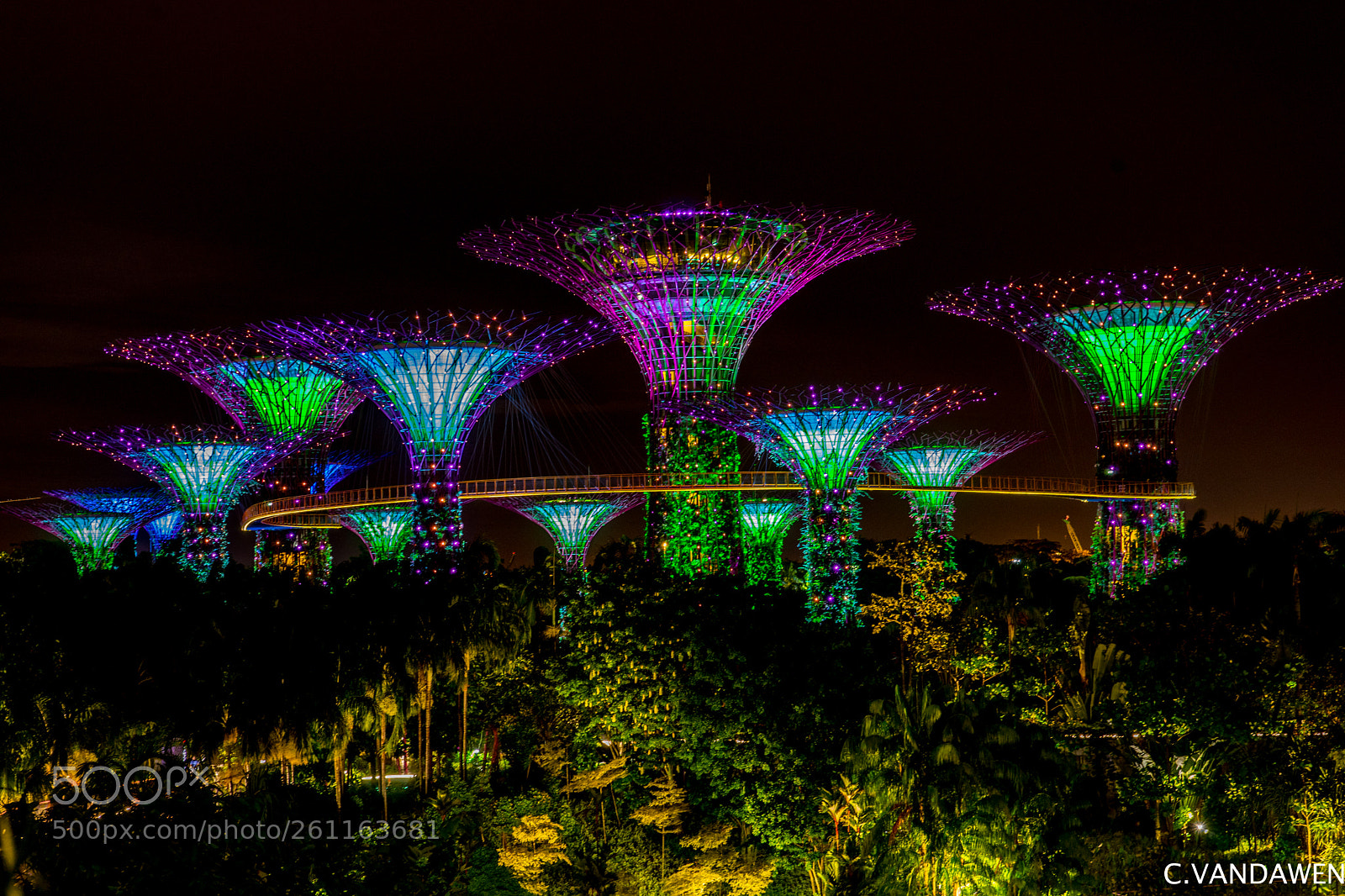 Sony a7 sample photo. Lights photography