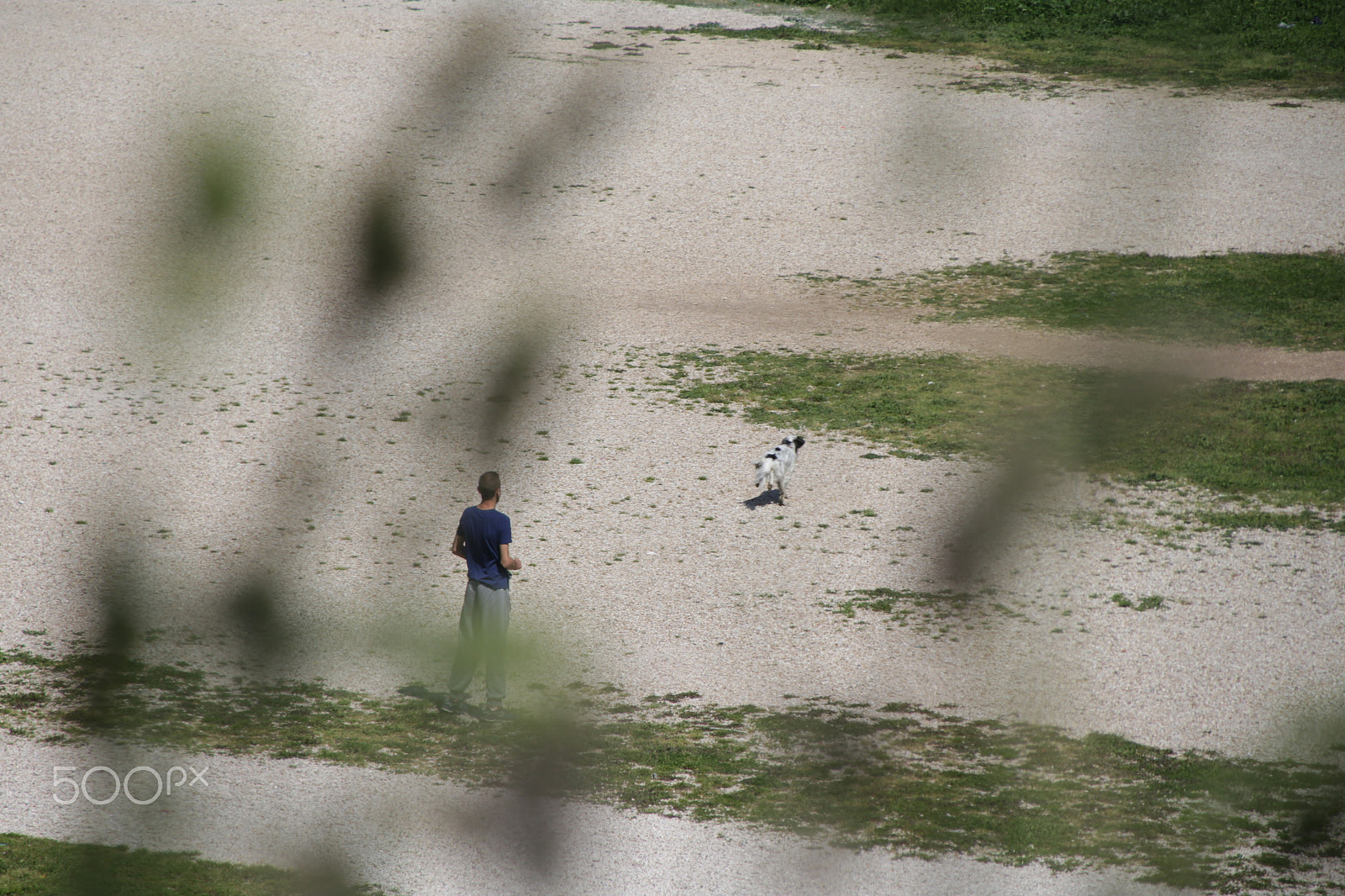 Canon EOS 700D (EOS Rebel T5i / EOS Kiss X7i) + Canon TS-E 90mm F2.8 Tilt-Shift sample photo