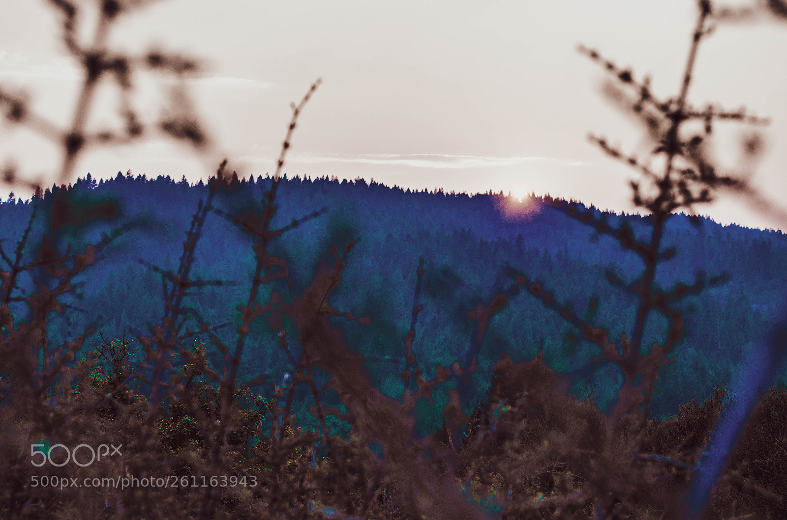 Nikon D5100 sample photo. Before dusk photography