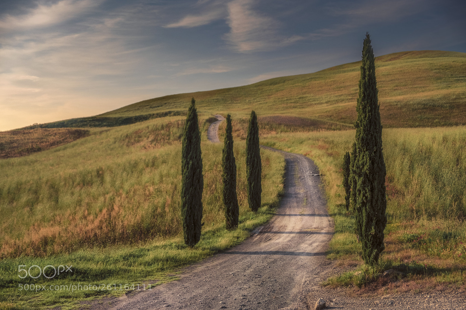 Fujifilm X-T2 sample photo. Iconic tuscany road photography