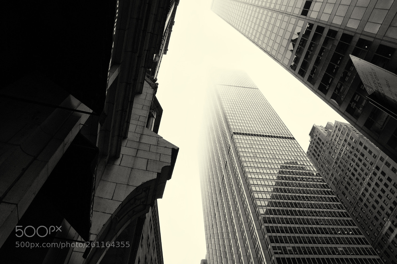 Nikon D500 sample photo. Fog liberty st photography