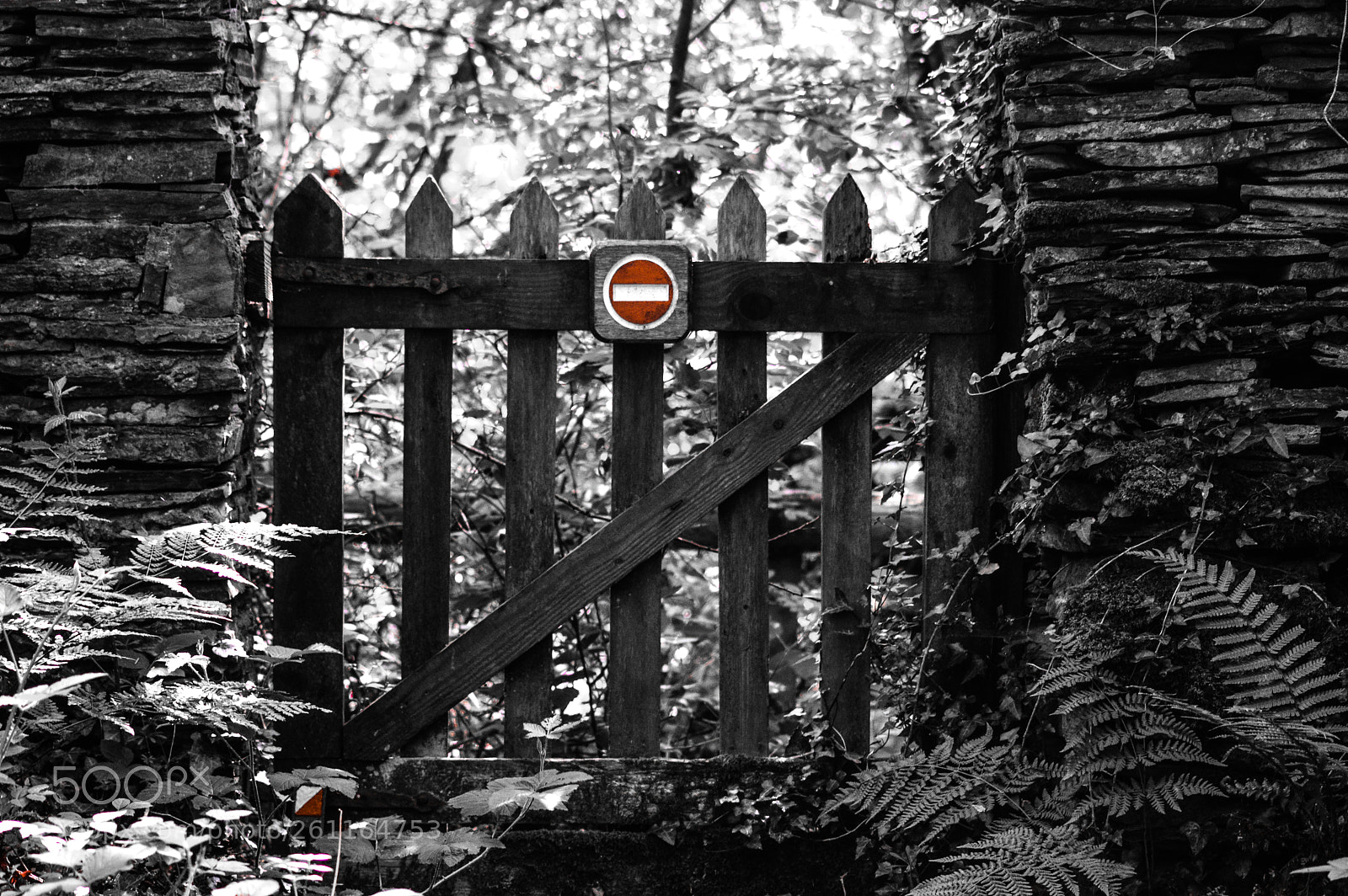 Nikon D3200 sample photo. No entry photography