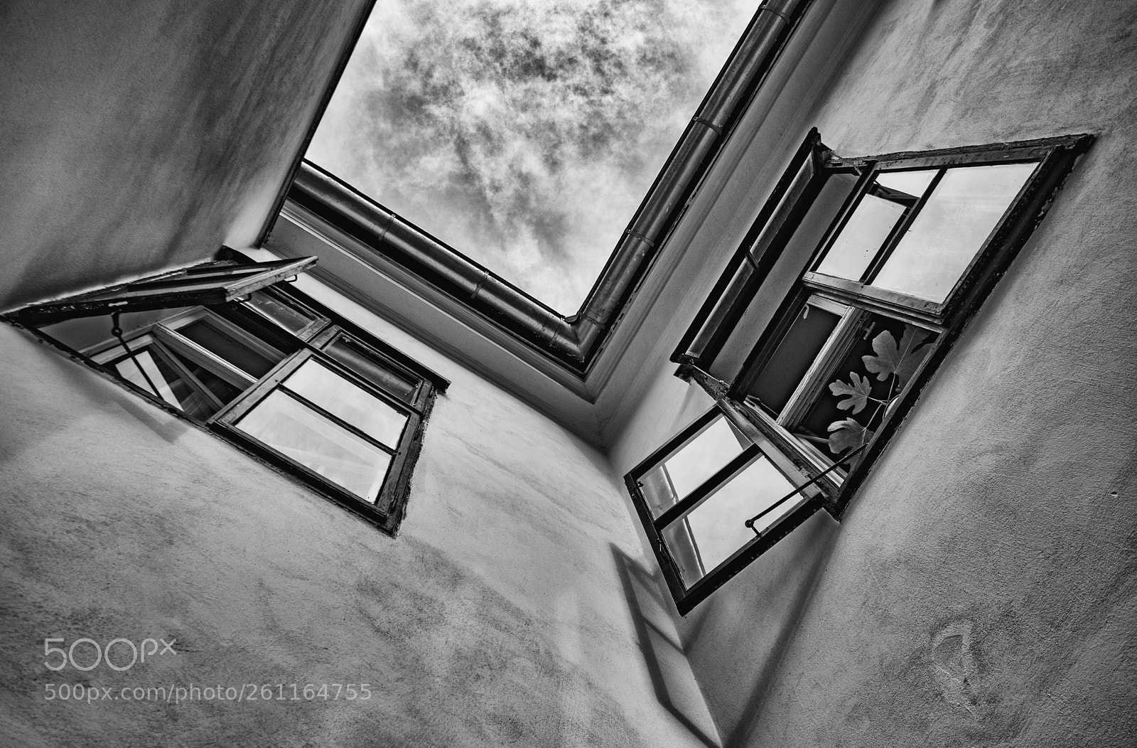 Nikon D5300 sample photo. Open windows photography