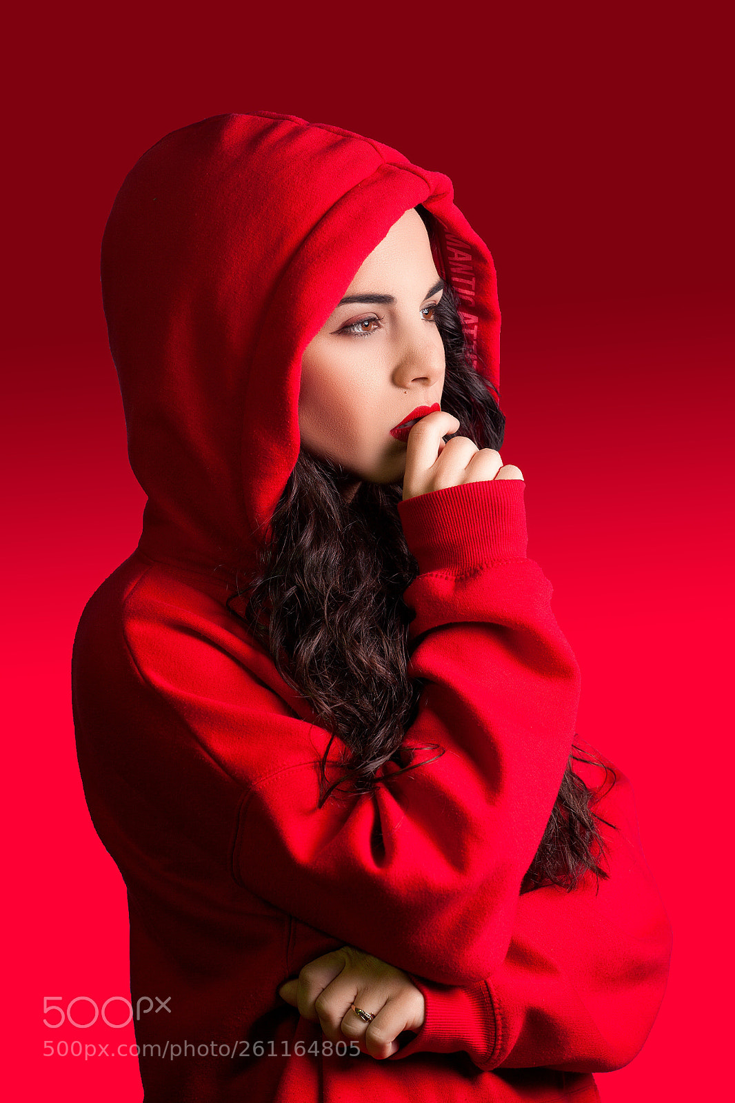 Canon EOS 5D Mark II sample photo. All red everything photography