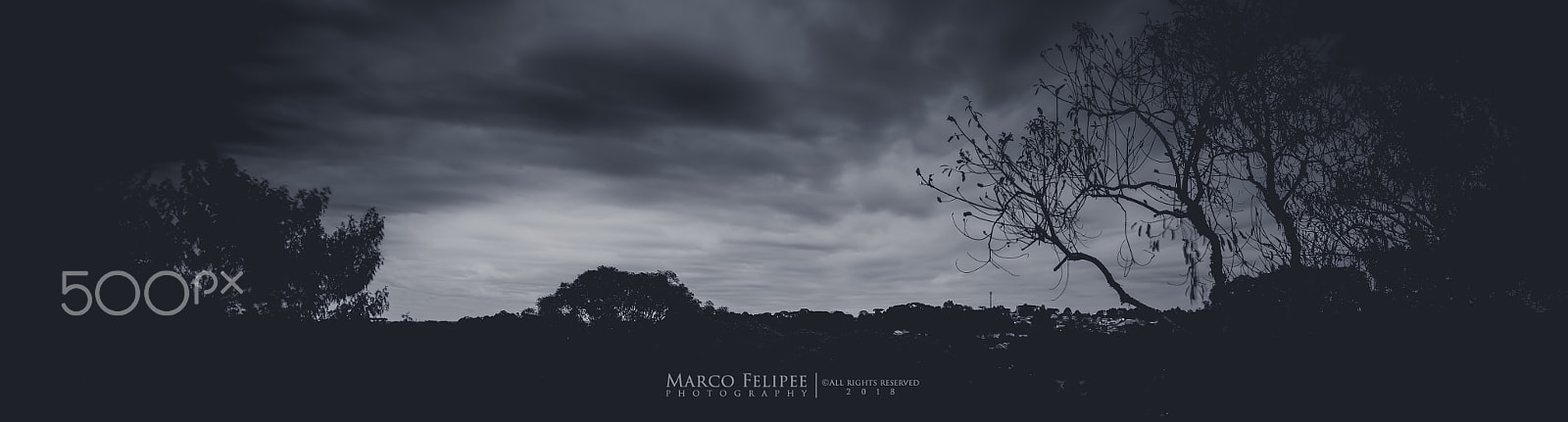 Sony a7S II sample photo. Noir #127 photography