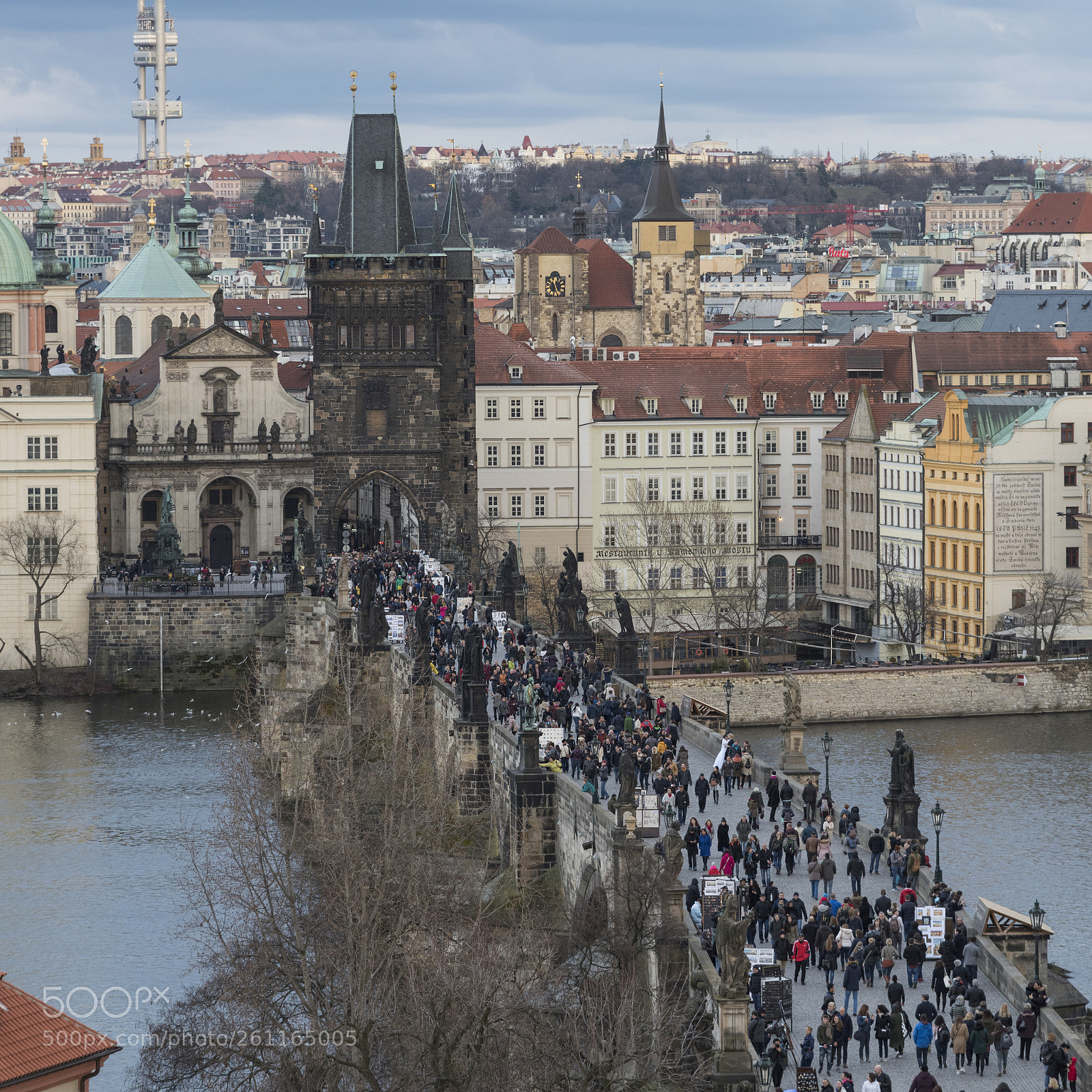 Nikon D810 sample photo. Tourists walking on charles photography