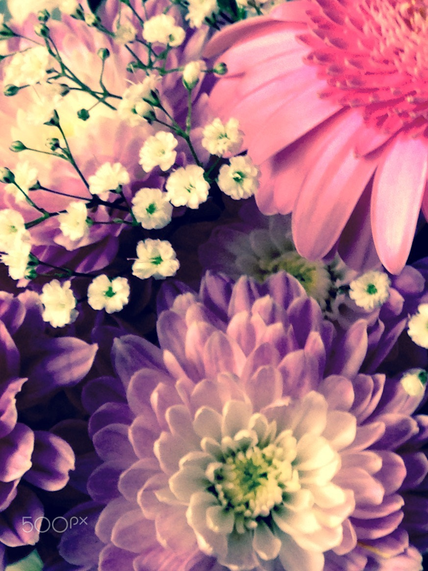 Apple iPhone 5c sample photo. Spring pastels photography