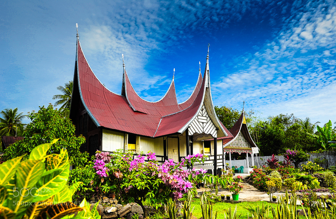 Nikon D3S sample photo. Rumah gonjong photography