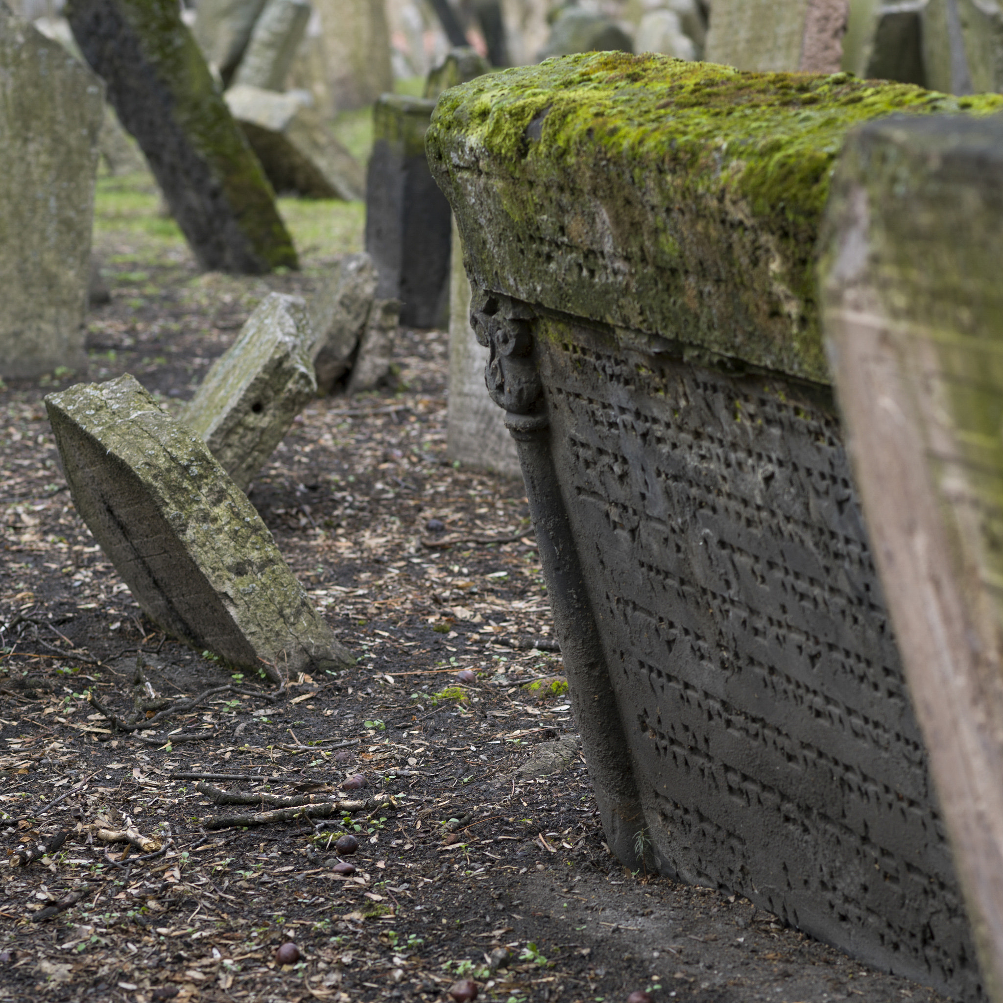 Hasselblad X1D-50c sample photo. Moss covered tombstone in old jewish cemetery, prague, czech rep photography