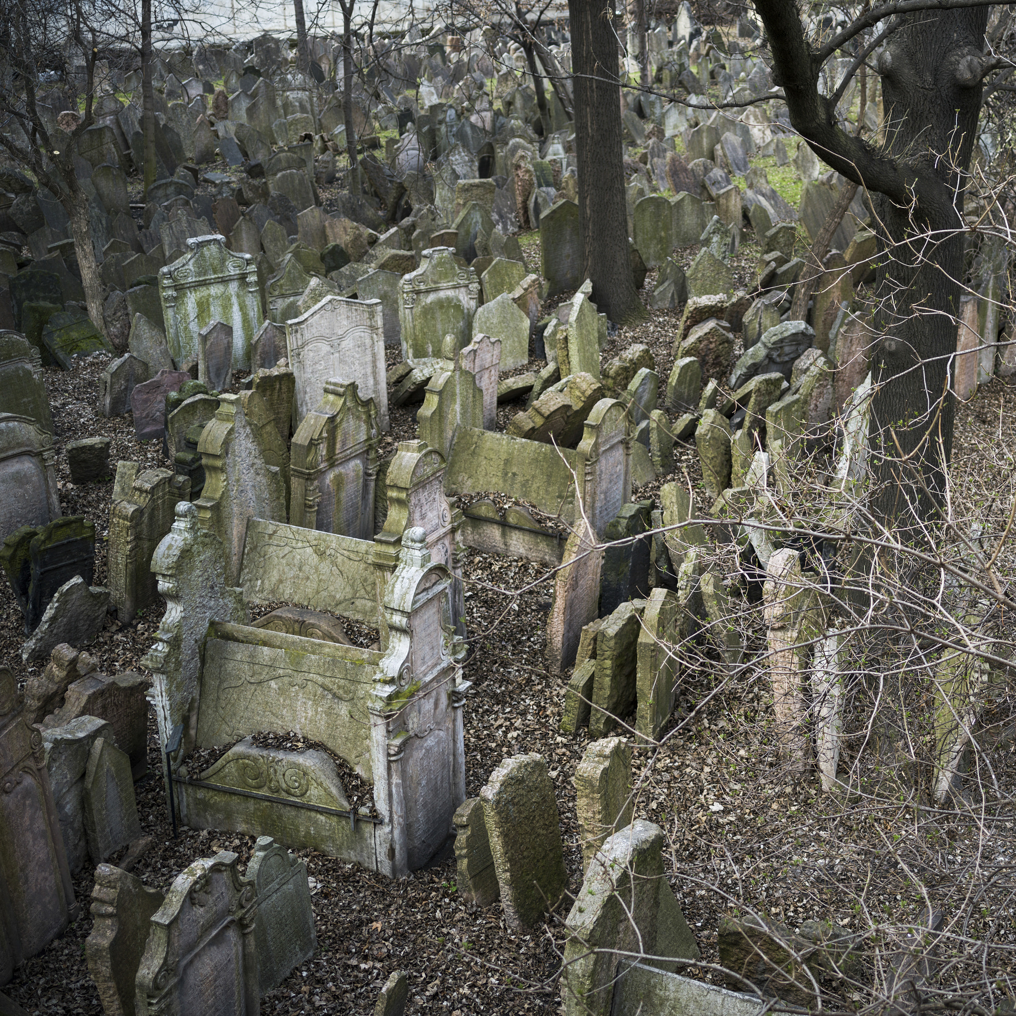 Hasselblad X1D-50c sample photo. Tombstones in old jewish cemetery, prague, czech republic photography