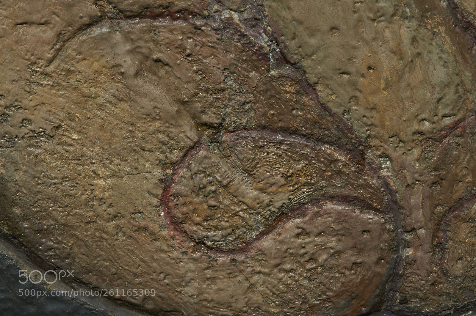 Nikon D300S sample photo. La craci n photography