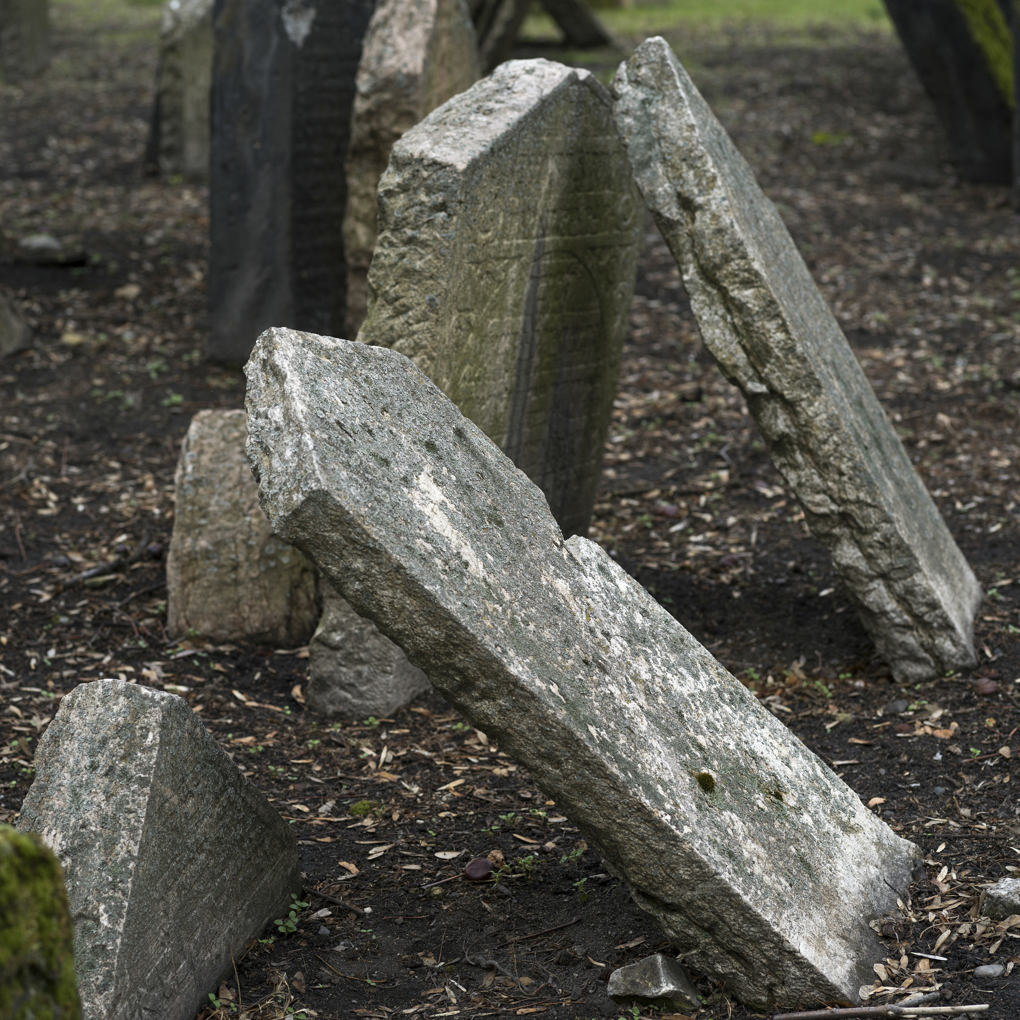 Hasselblad X1D-50c sample photo. Tombstones in old jewish cemetery, prague, czech republic photography