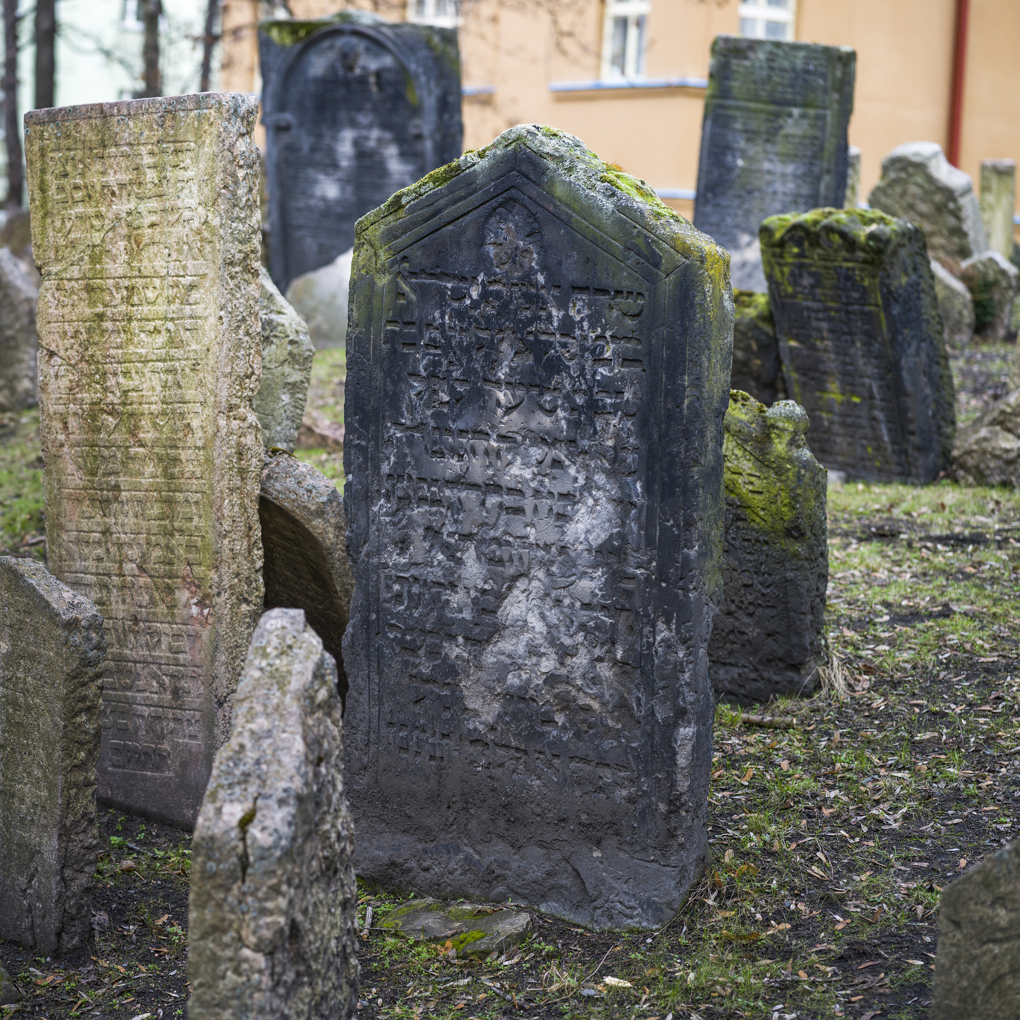 Hasselblad X1D-50c sample photo. Tombstones in old jewish cemetery, prague, czech republic photography