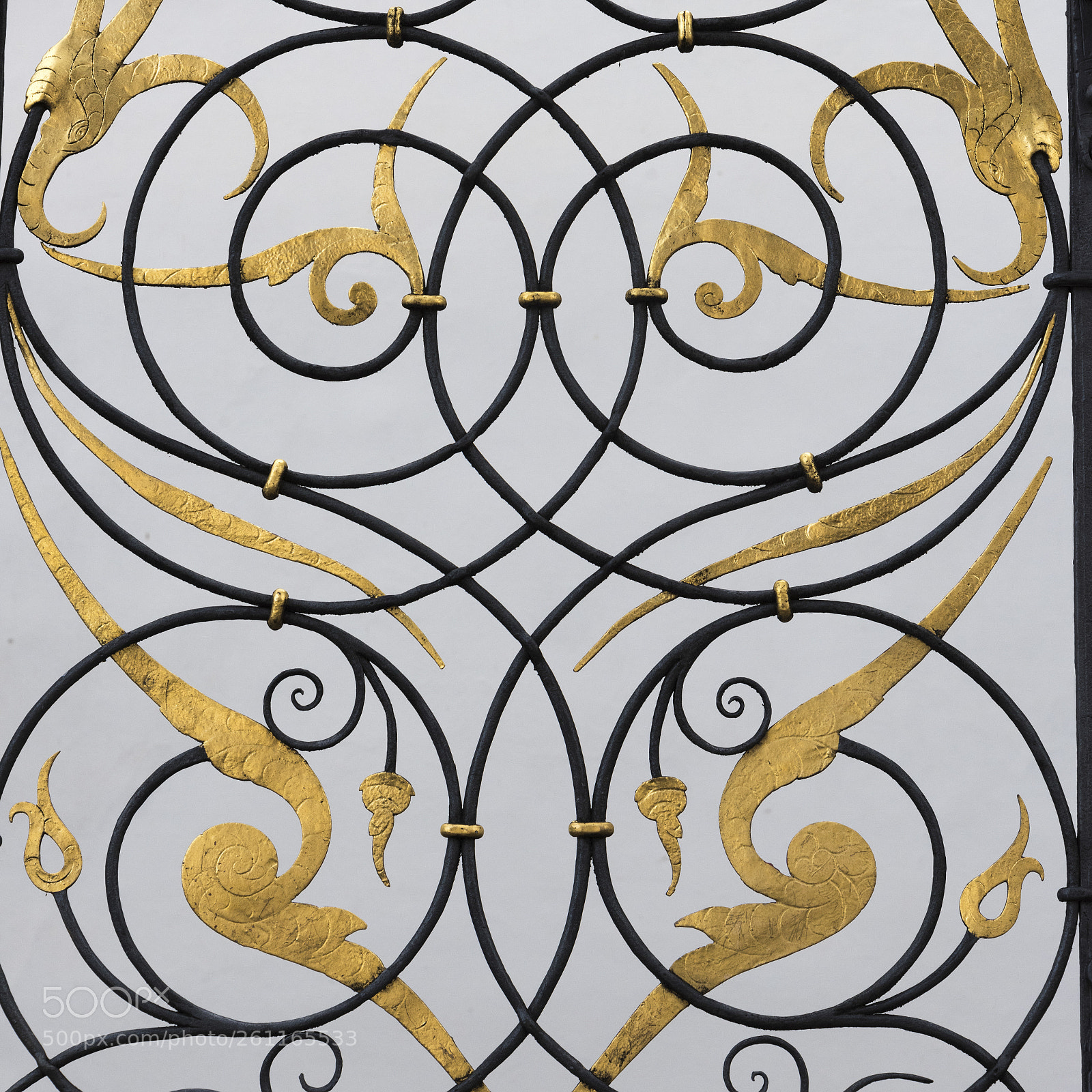 Nikon D810 sample photo. Close-up of patterns on photography
