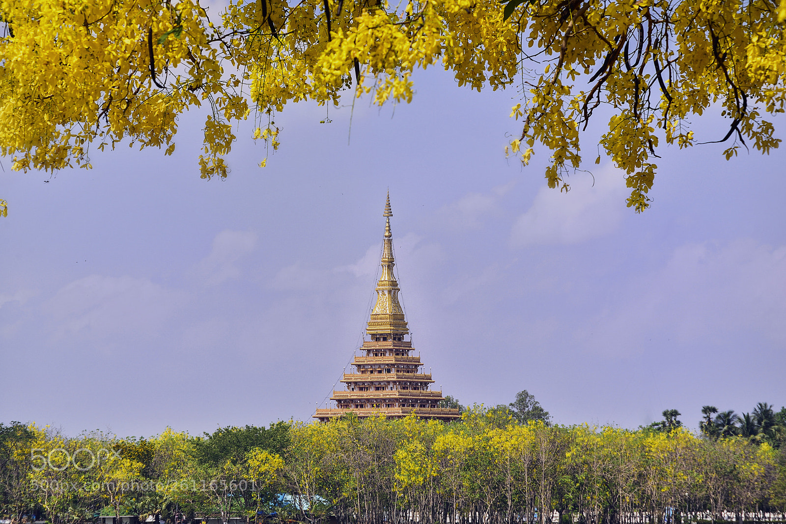 Nikon D800 sample photo. Wat nong wang photography