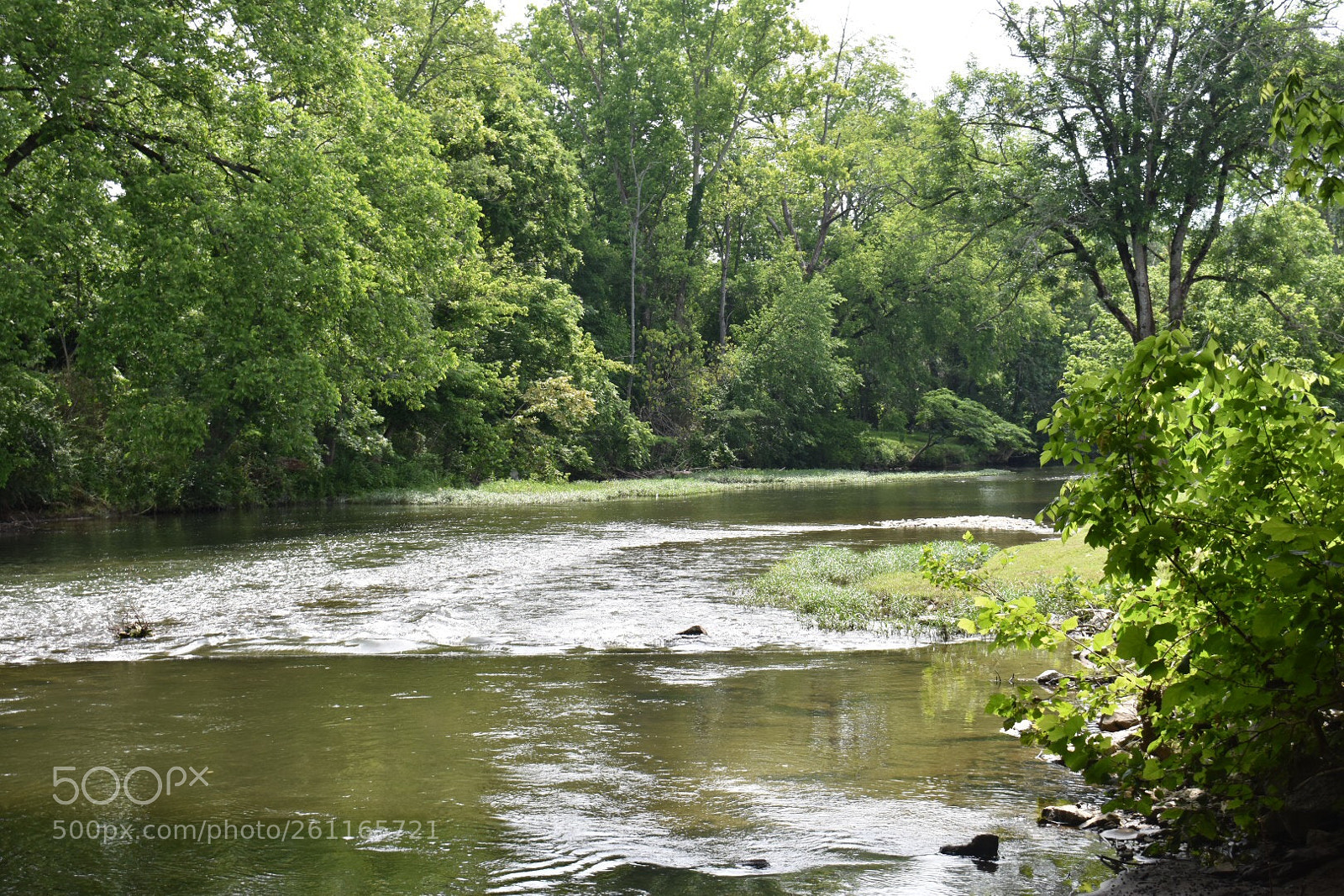 Nikon D3400 sample photo. Creek life photography
