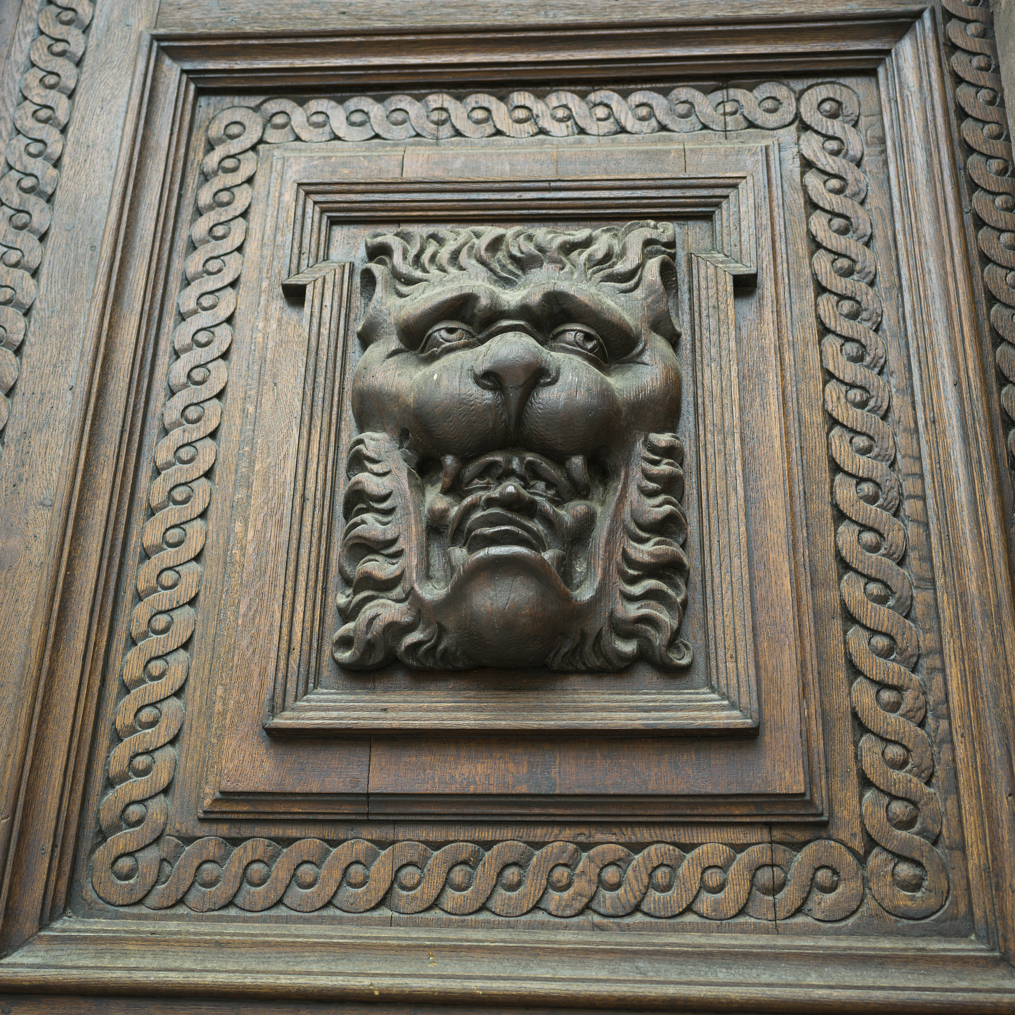 Hasselblad X1D-50c sample photo. Close-up of carvings on wooden door, prague, czech republic photography