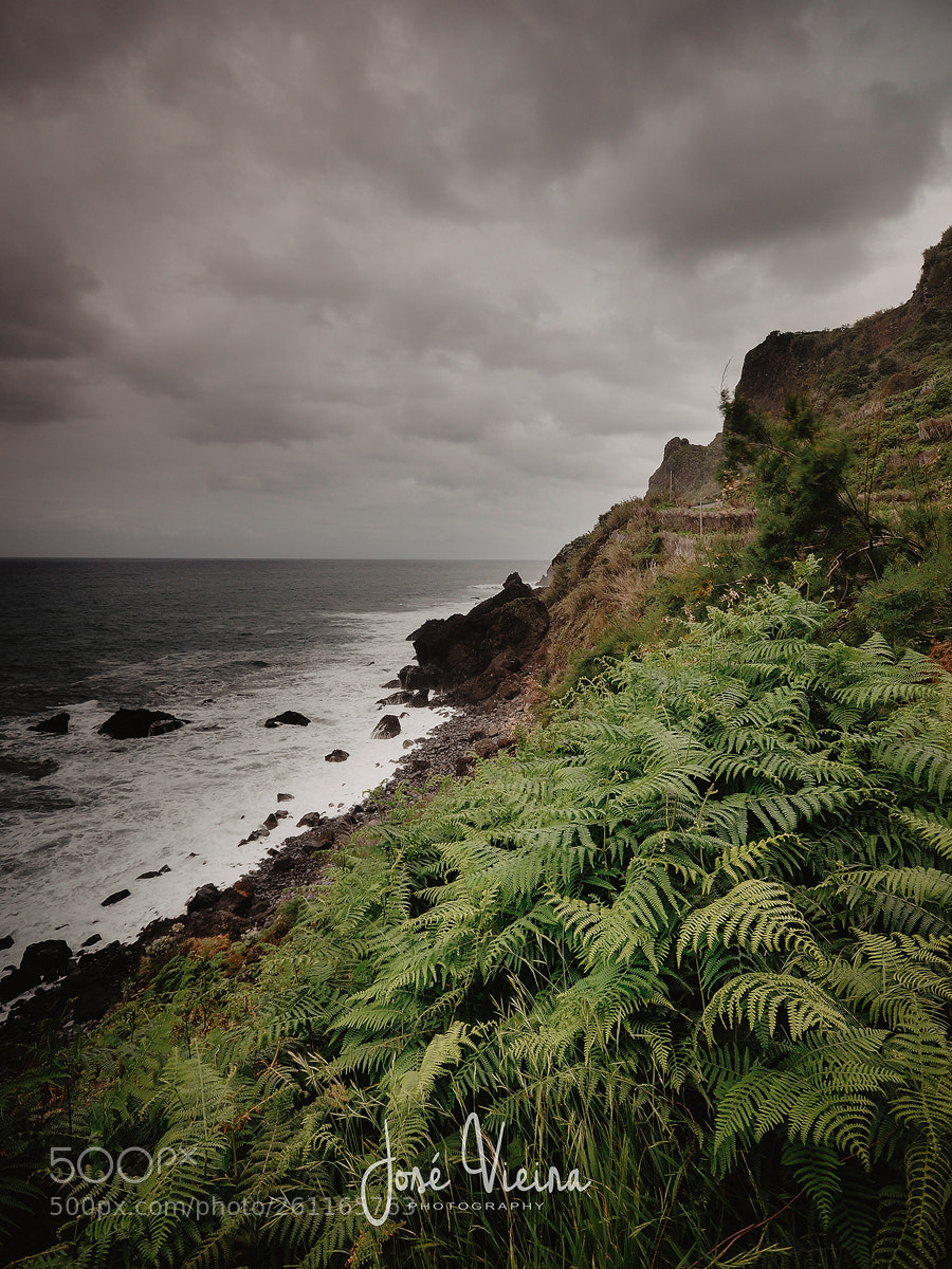 Nikon D90 sample photo. Madeira island photography