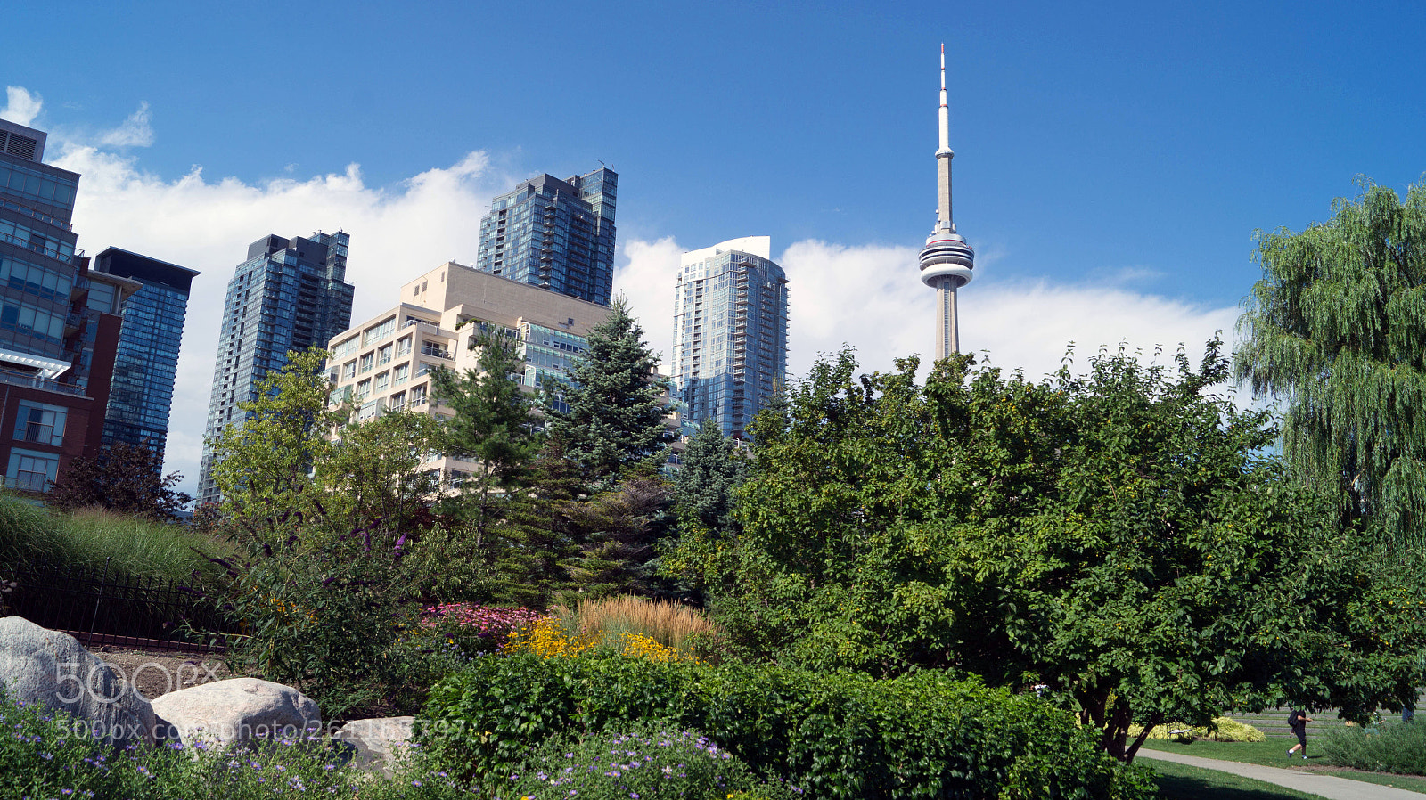 Sony SLT-A58 sample photo. Toronto photography