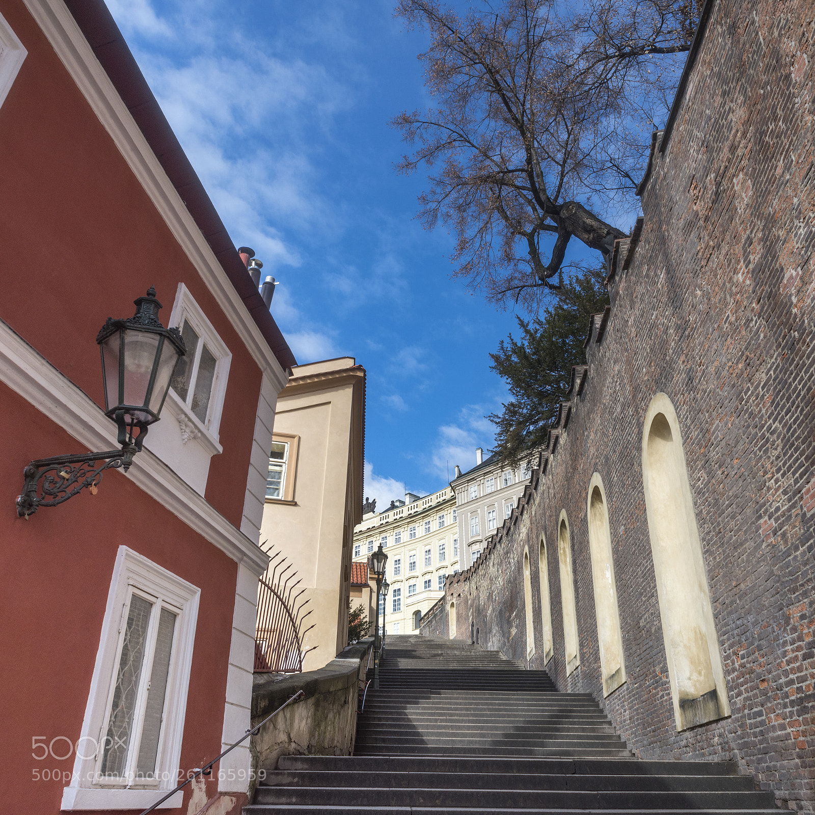Nikon D810 sample photo. Low angle view of photography
