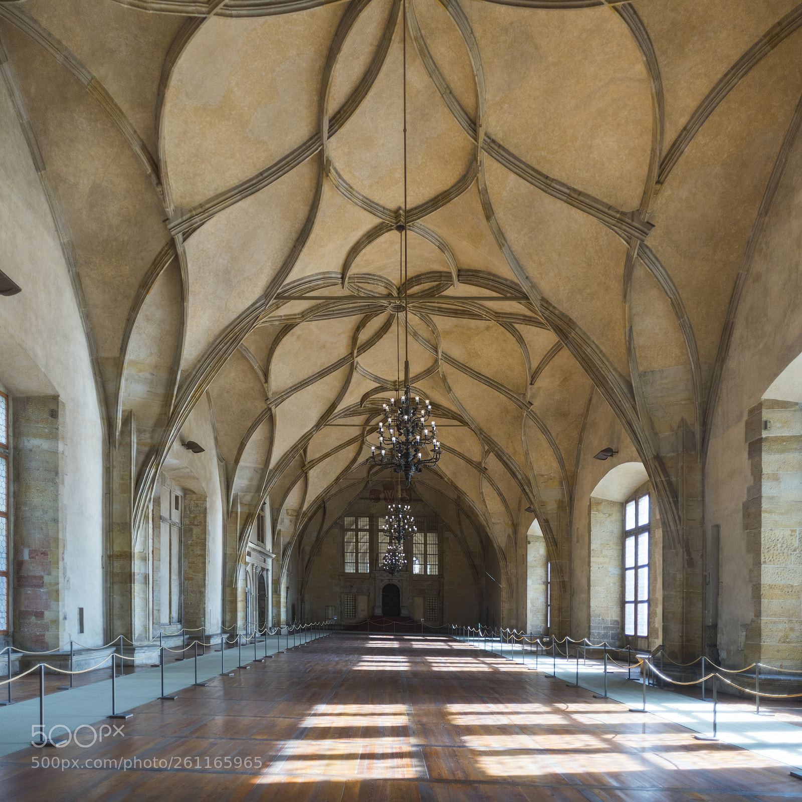 Nikon D810 sample photo. Interiors of vladislav hall photography