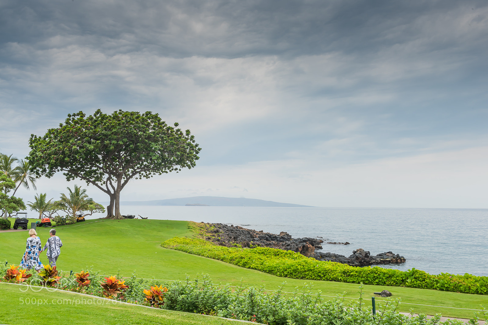 Nikon D810 sample photo. Peaceful photography
