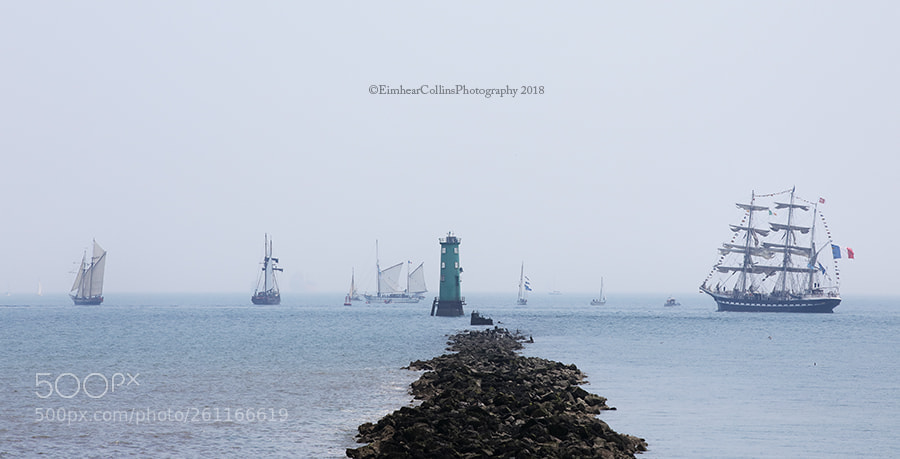 Canon EOS 5D Mark IV sample photo. Farewell to the tall photography
