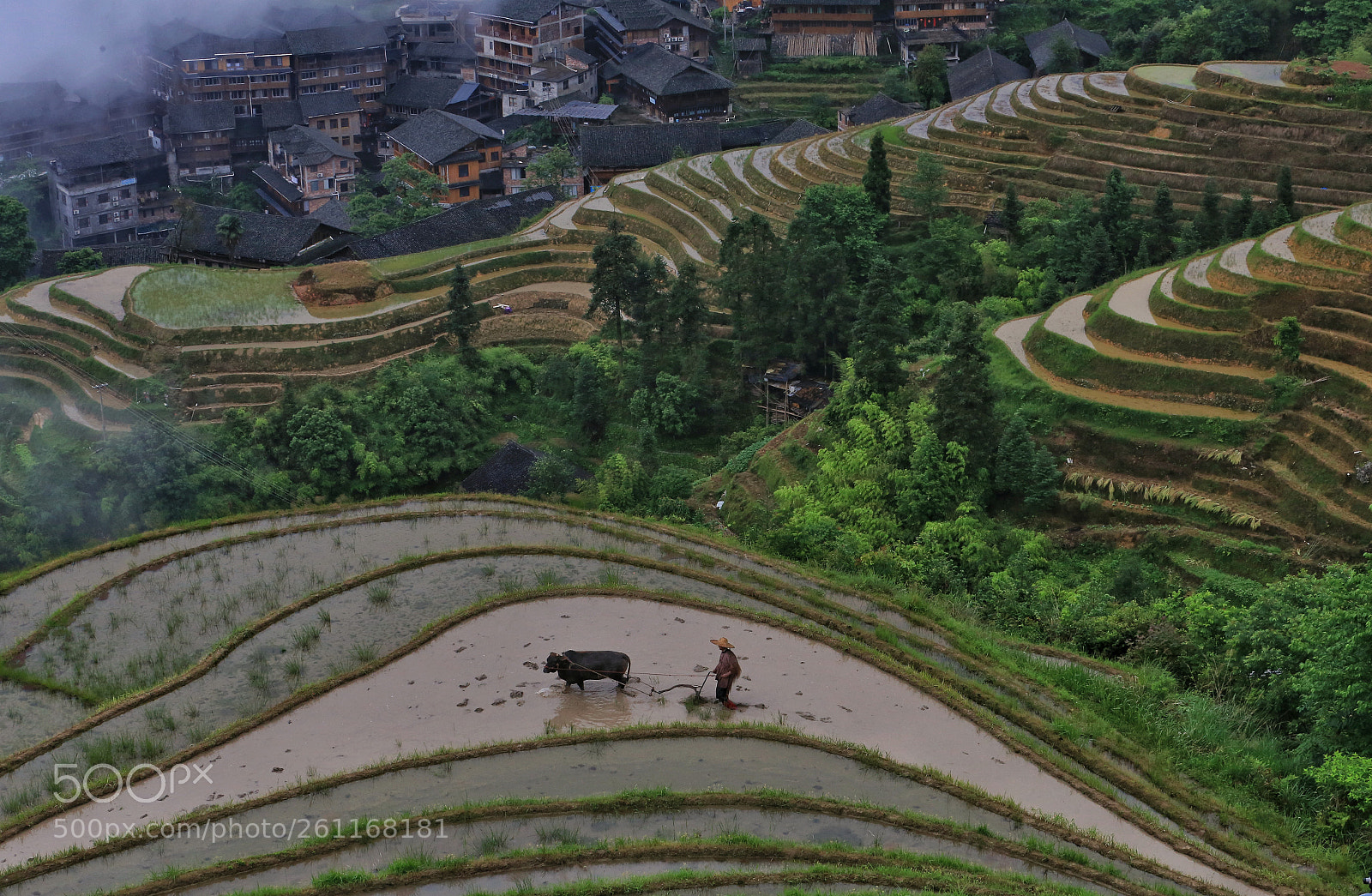 Canon EOS 6D sample photo. Terraced fields photography