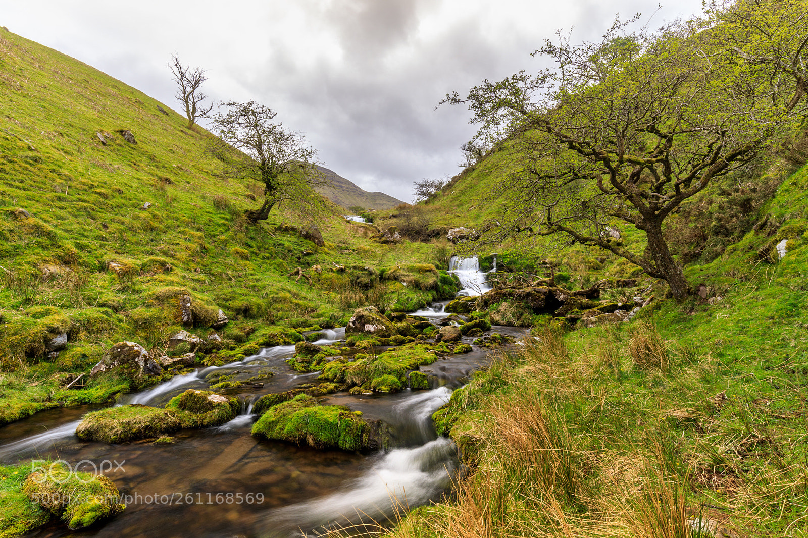 Canon EOS 5D Mark IV sample photo. Hidden valley photography