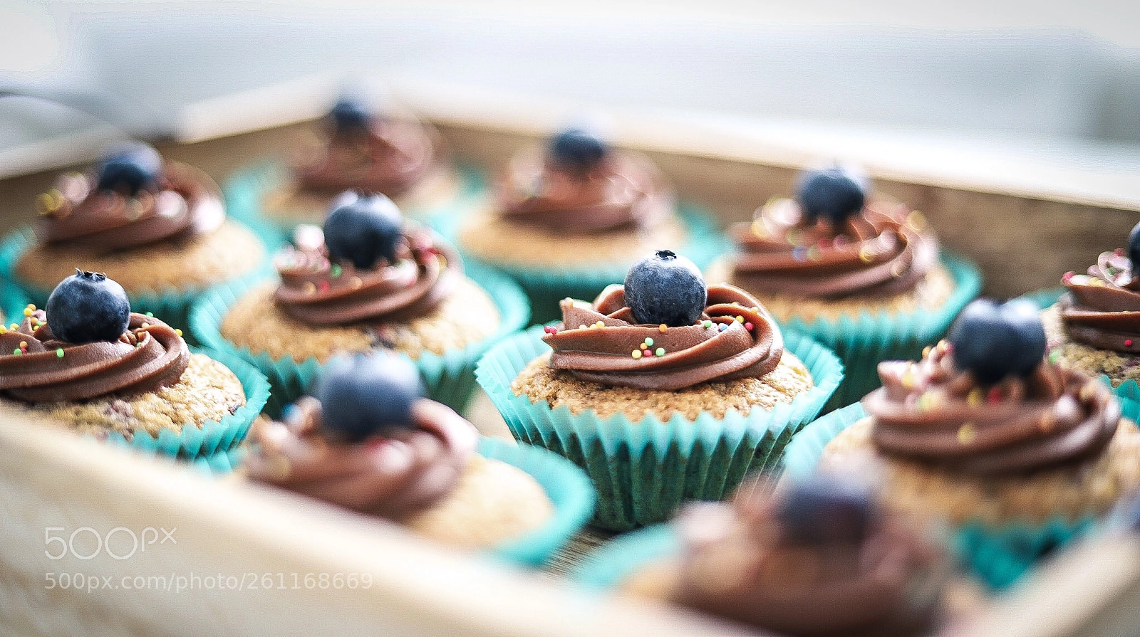 Canon EOS 6D Mark II sample photo. Untitled photography