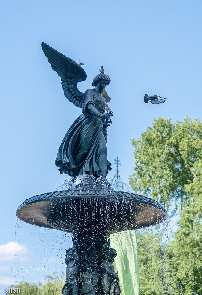 Fujifilm X-Pro2 sample photo. Wings photography