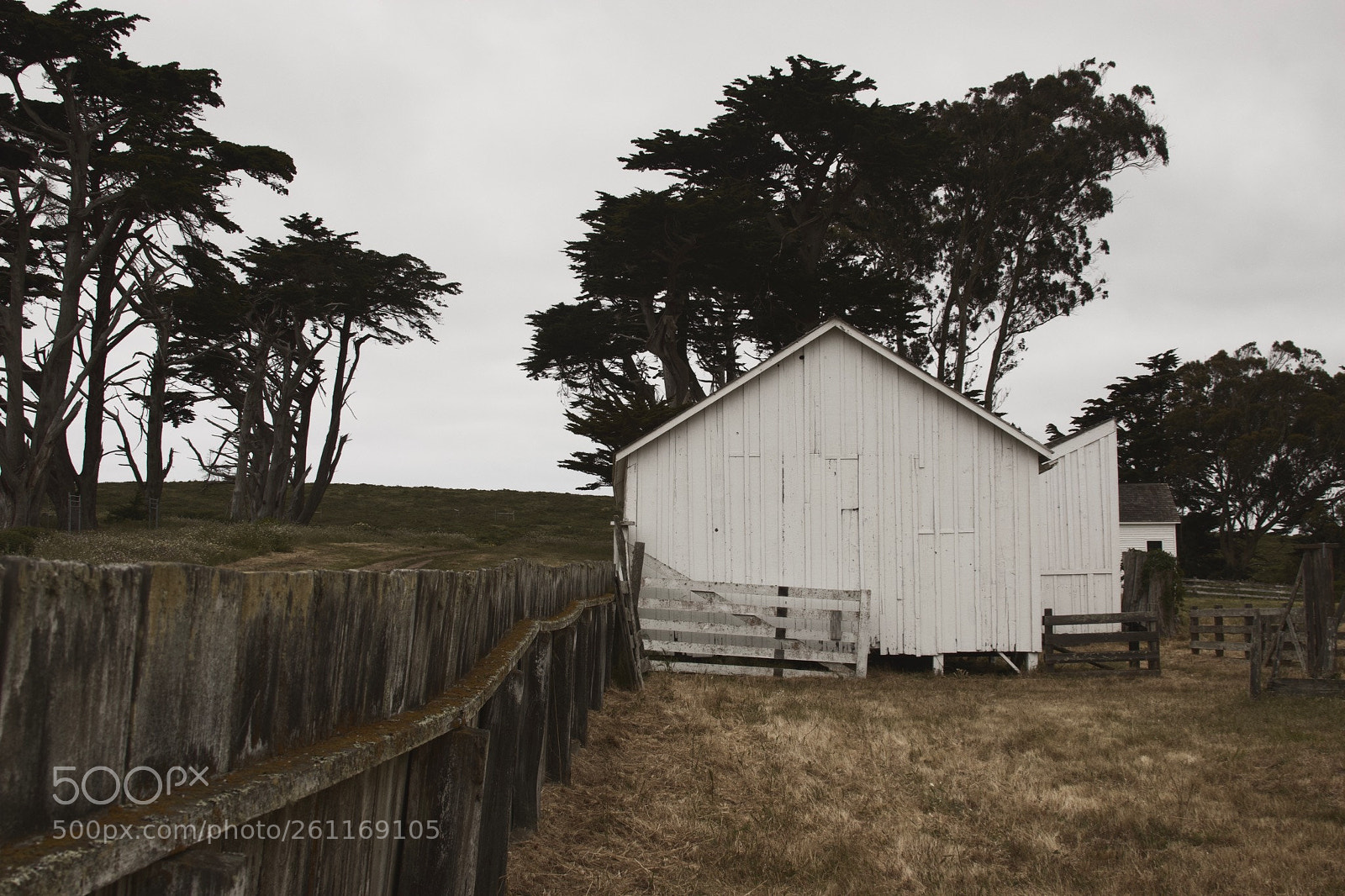 Canon EOS 70D sample photo. Pierce point ranch photography