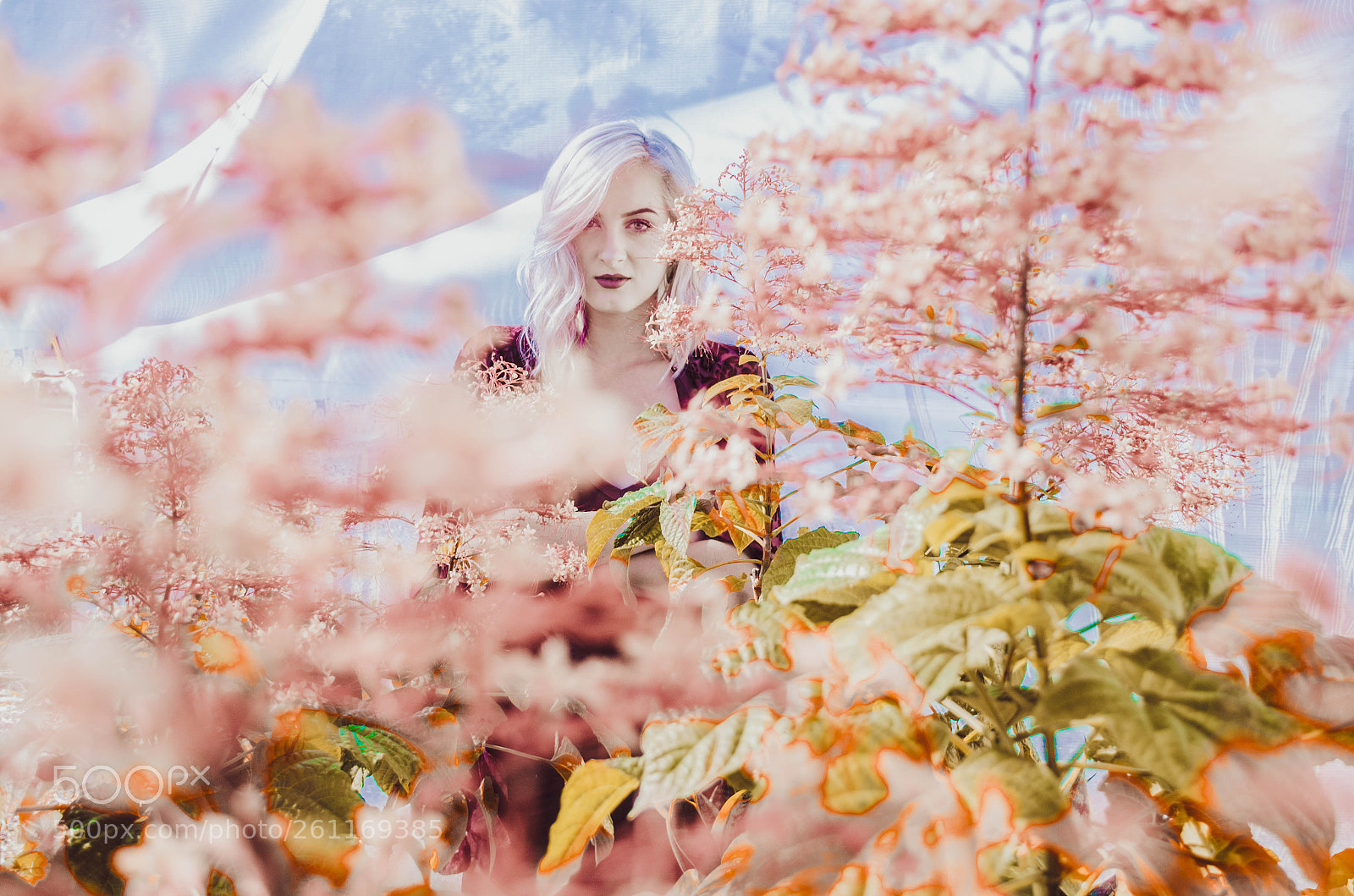 Nikon D5100 sample photo. Eye of eden photography