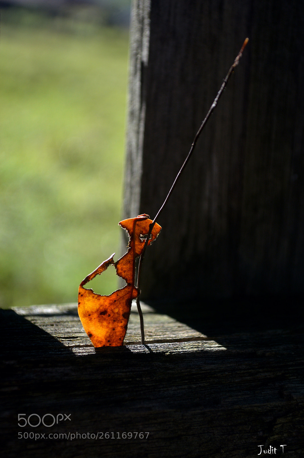 Nikon D3200 sample photo. Fisherman of illusions photography