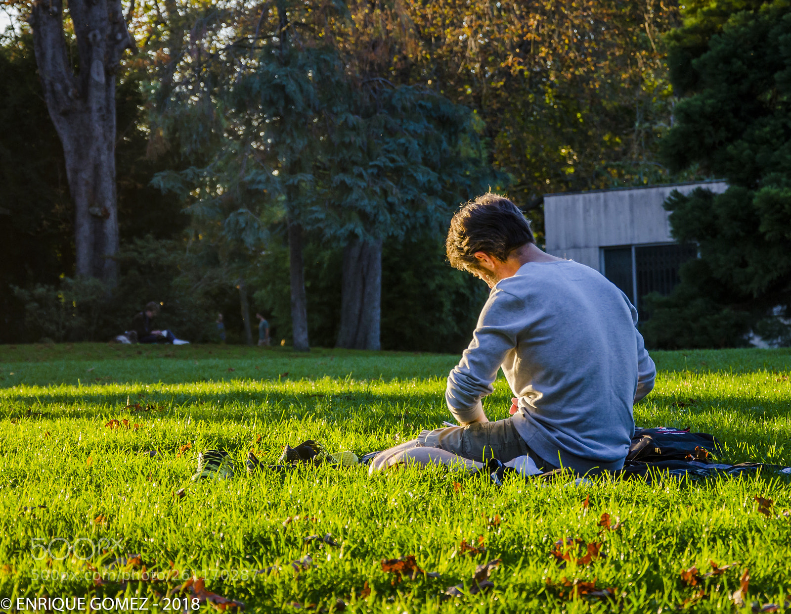 Nikon D7000 sample photo. Sunbath photography