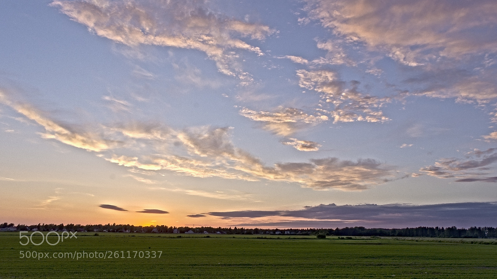 Nikon D7200 sample photo. Pole hdrfull photography