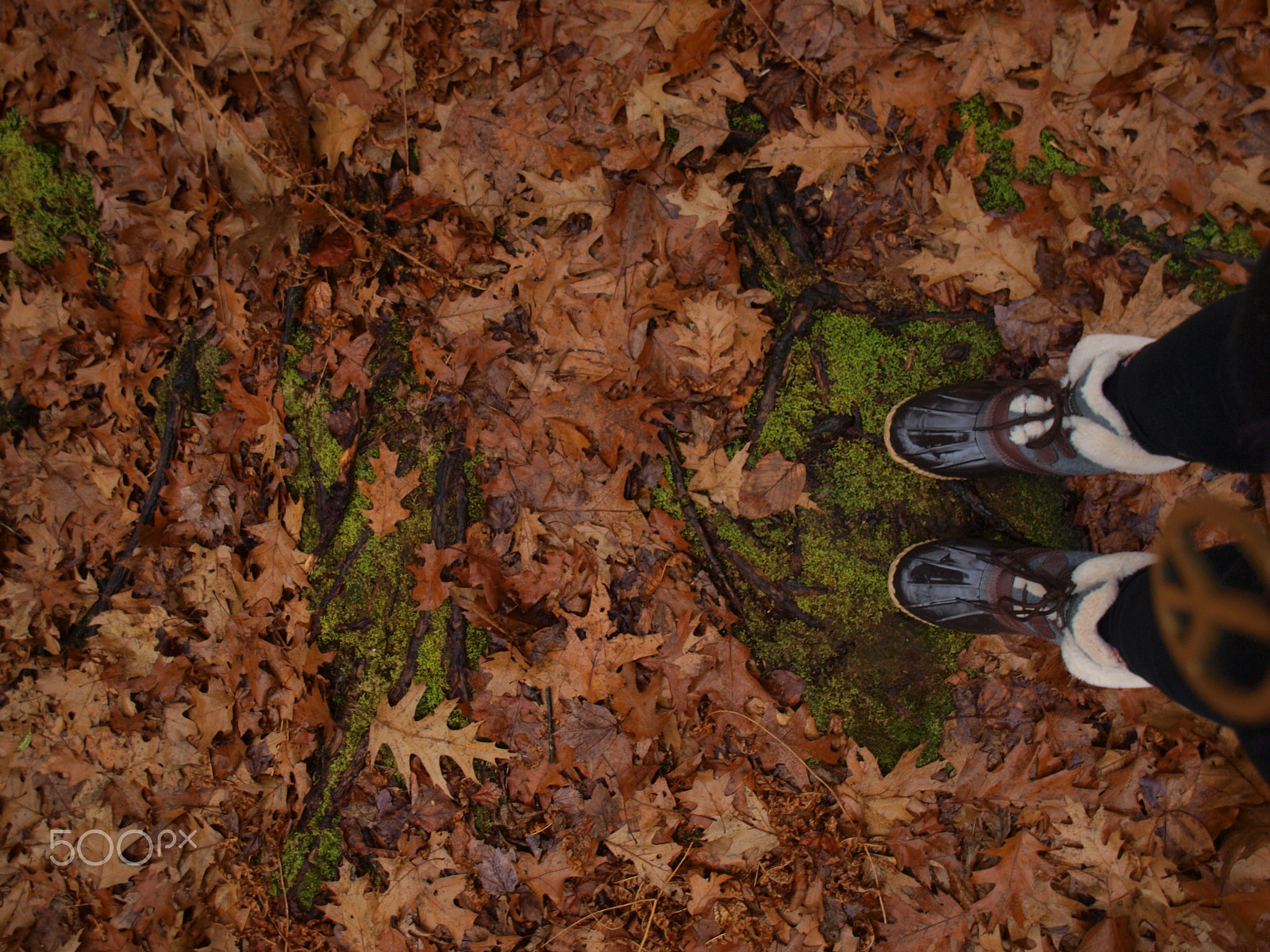 Olympus E-450 (EVOLT E-450) sample photo. Fall photography