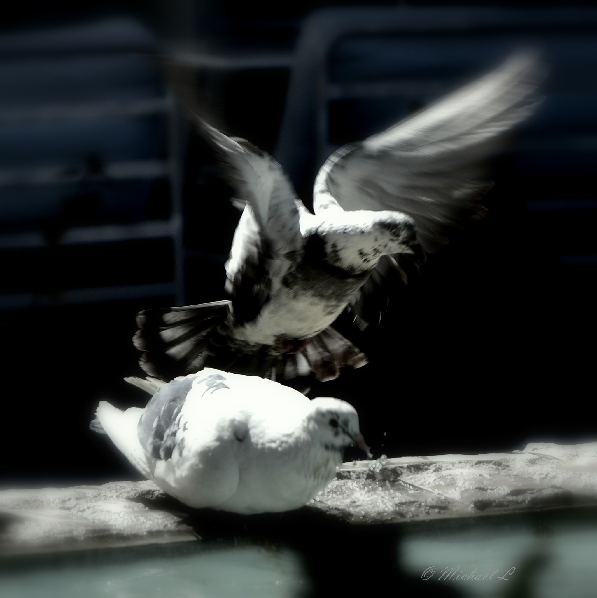 Nikon D3400 sample photo. Blur... photography