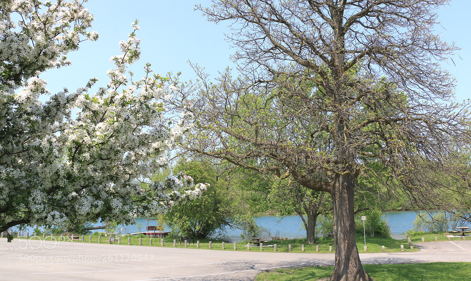 Canon EOS 70D sample photo. Chipawa1 photography