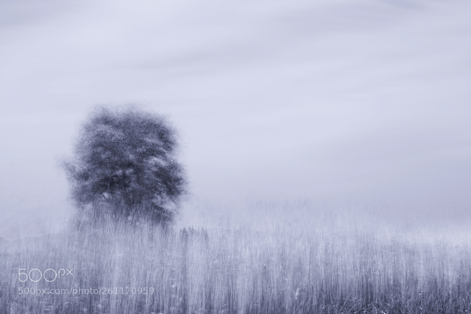 Sony a7R II sample photo. Solitude-2 photography