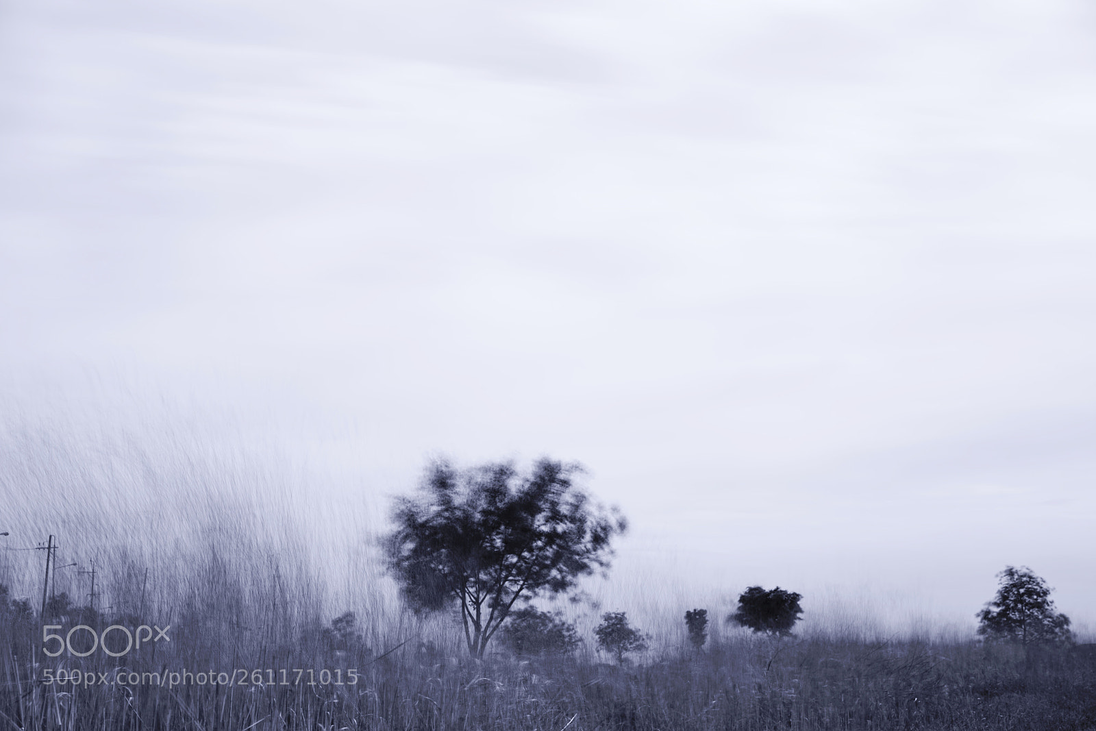 Sony a7R II sample photo. Solitude-3 photography